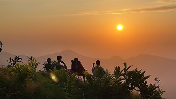 Minca Sintropia Organic Coffee Finca