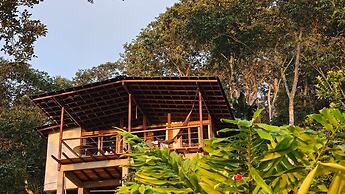 Minca Sintropia Organic Coffee Finca