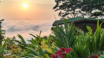 Minca Sintropia Organic Coffee Finca