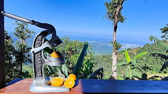 Minca Sintropia Organic Coffee Finca