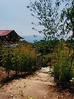 Forrest Homestay Villa