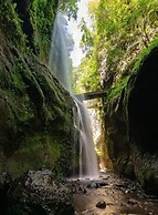 Tropical Island Retreat in Santa Cruz