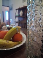 Tropical Island Retreat in Santa Cruz