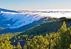 Tropical Island Retreat in Santa Cruz