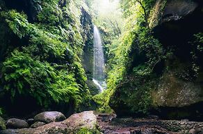 Tropical Island Retreat in Santa Cruz