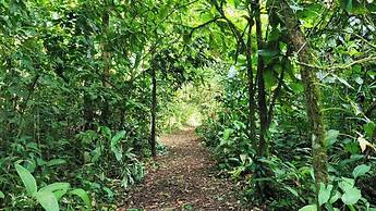 Gran Gavilan del Sarapiqui Lodge