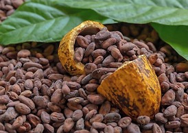 Gran Gavilan del Sarapiqui Lodge