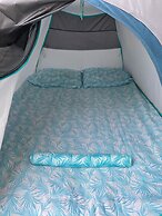 Bajo las Estrellas eco camp