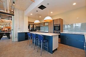 For Student Only Liv Student Sheffield