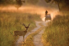 Jim Corbett Marriott Resort & Spa