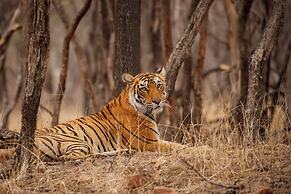 Jim Corbett Marriott Resort & Spa