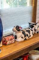 The Spotted Cow City Fringe Pet-friendly