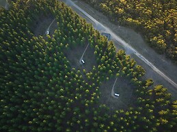 CABN Kuitpo Forest