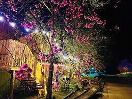 Thanh Binh Homestay Mang Den 37 Ho