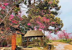 Thanh Binh Homestay Mang Den 37 Ho