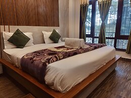 Green Forest View Shimla Mountain View