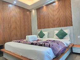 Green Forest View Shimla Mountain View