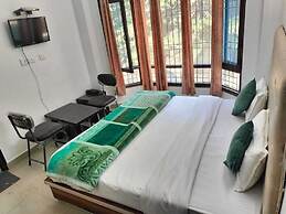 Green Forest View Shimla Mountain View