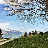 Spectacular Swiss Experience