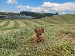 Betty's Farm Cottage