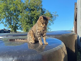 Betty's Farm Cottage