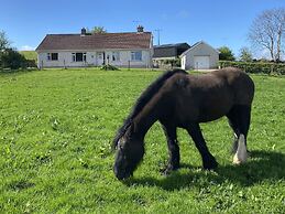 Betty's Farm Cottage
