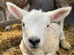 Betty's Farm Cottage