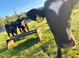 Betty's Farm Cottage