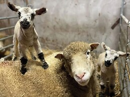 Betty's Farm Cottage