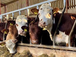 Betty's Farm Cottage