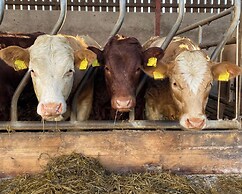 Betty's Farm Cottage