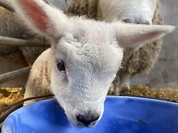 Betty's Farm Cottage