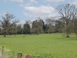 The Lazy Squire by The Water