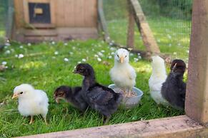 Whidbey Luxury Apartment