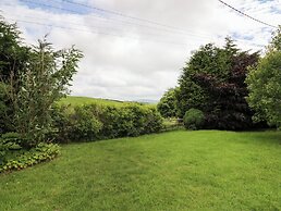 Plynlimon View