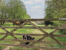 Burr 2 Shepherds Hut