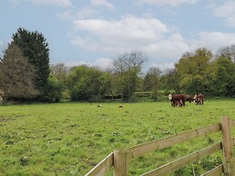 Beech Cottage - Fold Yards