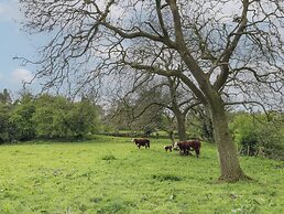Ash Cottage - Fold Yards