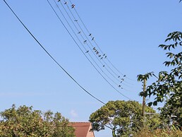 Hopkins at The Homestead