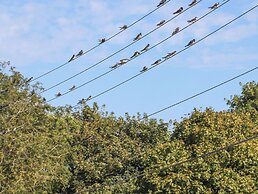 Hopkins at The Homestead
