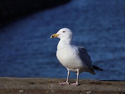 Pebble Cottage