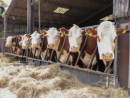Hazel Cottage - Fold Yards