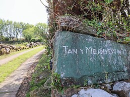 Tan Y Merddyn