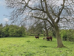 Oak Cottage - Fold Yards