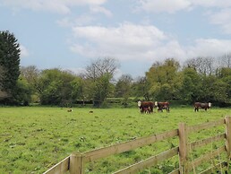 Rowan Cottage - Fold Yards
