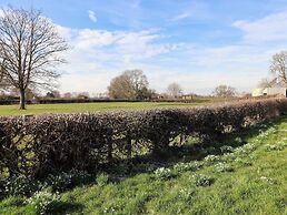 Elm Tree Cottage