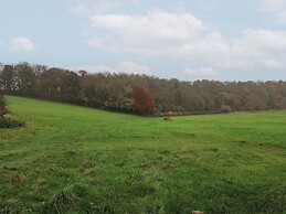 Meadow View Cottage