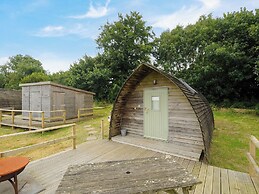Sheep Shed @ Penbugle Organic Farm