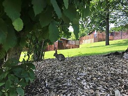 The Brambles 17 - Conkers Lodge