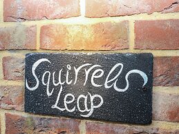 Squirrel's Leap